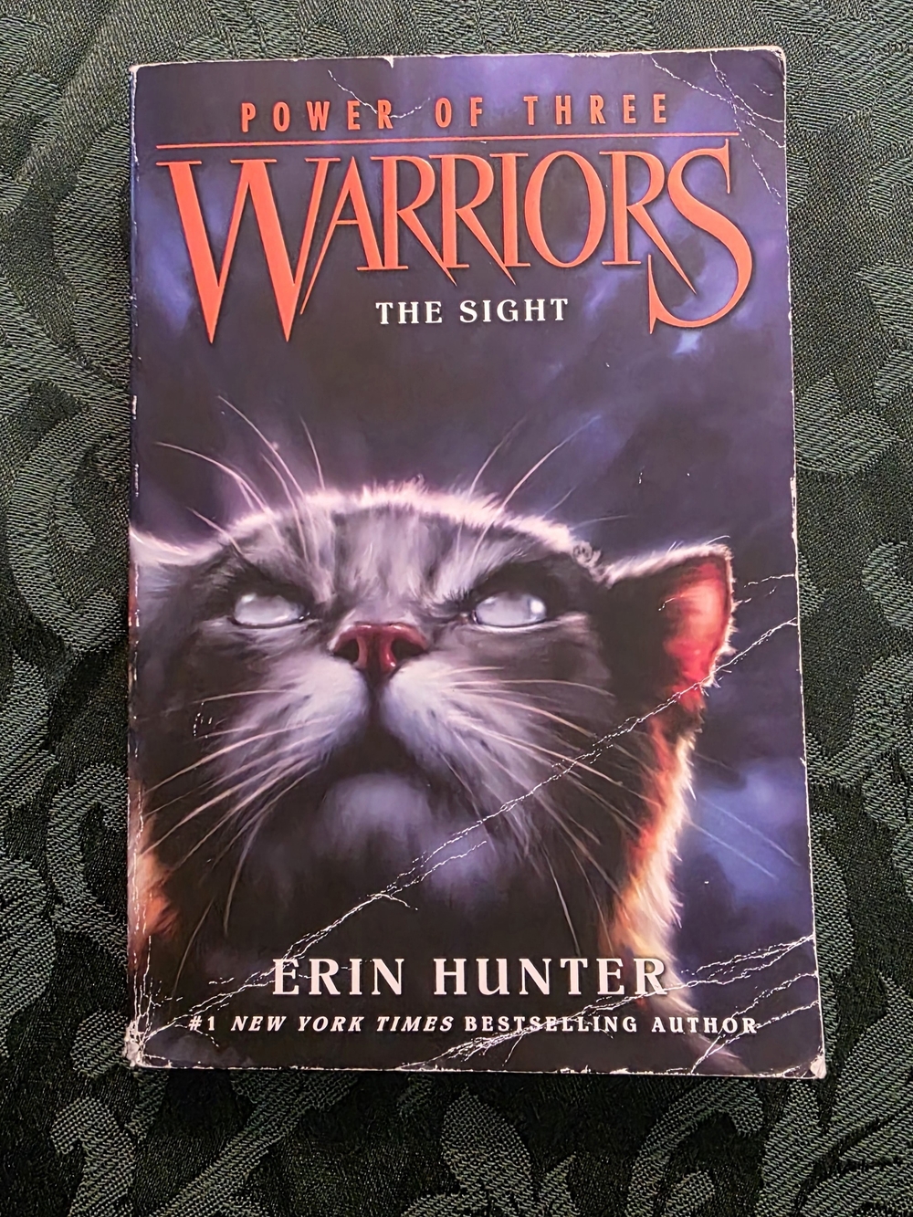 Warriors Power Of Three Book 1 The sight